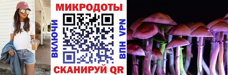 mega ссылка  Эртиль  Псилоцибиновые грибы GOLDEN TEACHER 